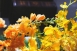 仿真花06